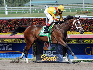 Dreaming of Julia Devastates Gulfstream Oaks Dreaming of Julia Devastates Gulfstream Oaks