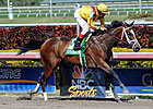 Dreaming of Julia Devastates Gulfstream Oaks Dreaming of Julia Devastates Gulfstream Oaks