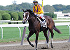 Lasix Ban Not a Worry For Pletcher