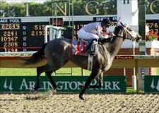 Dreaming of Liz Mirrors Stablemate in Arlington's Lassie Dreaming of Liz Mirrors Stablemate in Arlington's Lassie