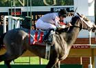 Dreaming of Liz Mirrors Stablemate in Arlington's Lassie Dreaming of Liz Mirrors Stablemate in Arlington's Lassie