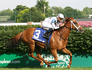 Dreaming of Anna in Foal to Street Cry Dreaming of Anna in Foal to Street Cry
