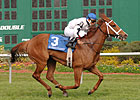 Dreaming of Anna Leads CD Distaff Turf Dreaming of Anna Leads CD Distaff Turf