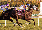 Dreamsgonewild Upsets Laurel Dash Dreamsgonewild Upsets Laurel Dash