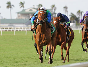 Florida Bill Calls for Gaming Expansion Florida Bill Calls for Gaming Expansion