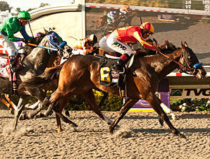 Drill, Creative Cause Clash Again in Norfolk Drill, Creative Cause Clash Again in Norfolk