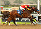 High Energy Drill Stood Out as a Yearling High Energy Drill Stood Out as a Yearling