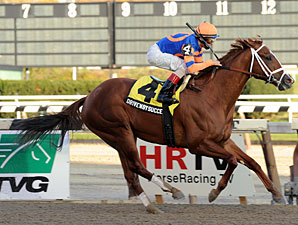 Repole Entry Tops Jam-Packed General George