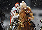 Drosselmeyer Retired, to Stand at WinStar