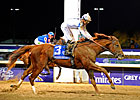 BC Classic Win Voted NTRA Moment of the Year BC Classic Win Voted NTRA Moment of the Year