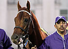 Drosselmeyer Could Race Again