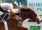 Drosselmeyer Preparing for World Cup Bid
