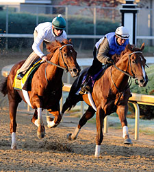 Drosselmeyer, Birdrun Tune Up for Mott Drosselmeyer, Birdrun Tune Up for Mott