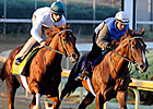 Drosselmeyer, Birdrun Tune Up for Mott