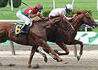 Mott Well Positioned in Poker, Brooklyn