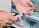 Aussie Sale Buyers Can Request Steroid Test Aussie Sale Buyers Can Request Steroid Test