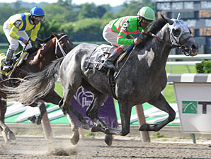 Dry Martini Rallies to Win Suburban Handicap Dry Martini Rallies to Win Suburban Handicap