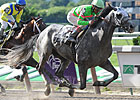 Dry Martini Rallies to Win Suburban Handicap Dry Martini Rallies to Win Suburban Handicap