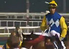 Dubai Al Quoz Sprint - Mike de Kock