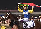Dubai Al Quoz Sprint - Shea Shea Dubai Al Quoz Sprint - Shea Shea