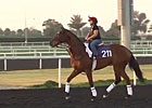 Dubai Carnival: March 6 Training 