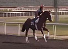 Dubai Carnival: March 7 Training Dubai Carnival: March 7 Training