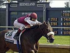 Dubai Escapade Easily Wins Vinery Madison Dubai Escapade Easily Wins Vinery Madison