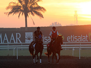 Post Times and Entries for Dubai World Cup Post Times and Entries for Dubai World Cup