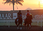 Post Times and Entries for Dubai World Cup Post Times and Entries for Dubai World Cup