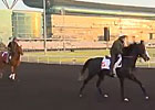 Dubai World Cup: Godolphin Trainers Dubai World Cup: Godolphin Trainers