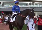 Dubai Gold Cup - Cavalryman Dubai Gold Cup - Cavalryman