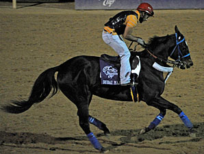 Some Breeders' Cup Runners Set to Be Sold Some Breeders' Cup Runners Set to Be Sold