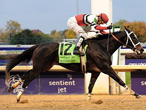 Widely Traveled Dubai Majesty Wins Eclipse Widely Traveled Dubai Majesty Wins Eclipse