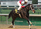 Dubai Majesty Tops Winning Colors Field