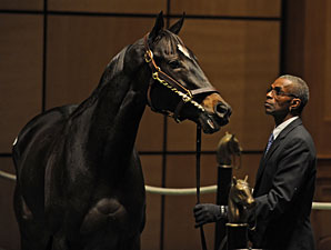 Dubai Majesty Brings $1.1 Million at F-T Dubai Majesty Brings $1.1 Million at F-T