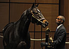 Dubai Majesty Brings $1.1 Million at F-T Dubai Majesty Brings $1.1 Million at F-T