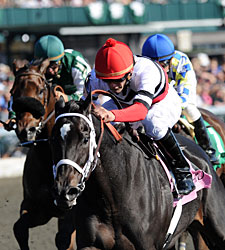 Dubai Majesty Beats Informed Decision in TCA
