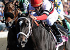 Dubai Majesty Beats Informed Decision in TCA Dubai Majesty Beats Informed Decision in TCA