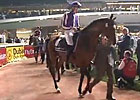 Dubai Sheema Classic - St Nicholas Abbey