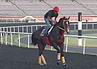 Dubai World Cup: Training 03/28/2013