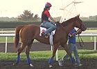 Dubai World Cup: Training 03/26/13 Part II Dubai World Cup: Training 03/26/13 Part II