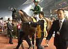 Dubai World Cup: Dubai Duty Free Dubai World Cup: Dubai Duty Free