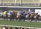 Dubai World Cup: Dubai Gold Cup Dubai World Cup: Dubai Gold Cup
