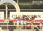 Dubai World Cup: Dubai Golden Shaheen Dubai World Cup: Dubai Golden Shaheen