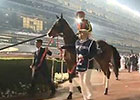 Dubai World Cup: Dubai Sheema Classic Dubai World Cup: Dubai Sheema Classic