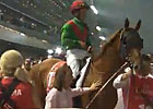 Dubai WC: John Messara - Animal Kingdom