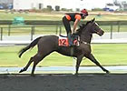 Dubai World Cup: March 26 Morning Training II Dubai World Cup: March 26 Morning Training II