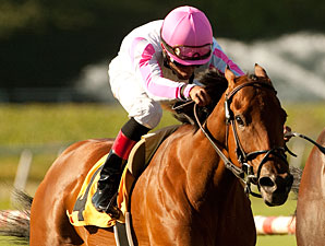Streaking Dubawi Heights Guts Out Gamely Win Streaking Dubawi Heights Guts Out Gamely Win