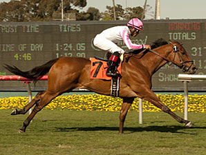 Dubawi Heights Reaches New Peak in Wilshire Dubawi Heights Reaches New Peak in Wilshire