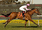 Dubawi Heights Reaches New Peak in Wilshire Dubawi Heights Reaches New Peak in Wilshire
